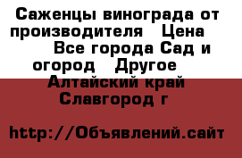 Саженцы винограда от производителя › Цена ­ 800 - Все города Сад и огород » Другое   . Алтайский край,Славгород г.